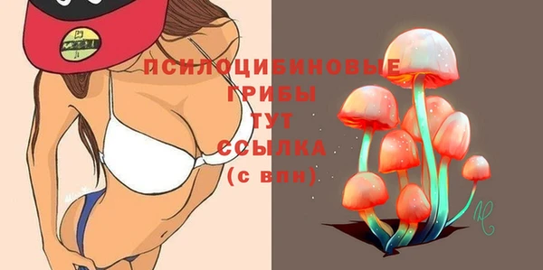 бошки Баксан