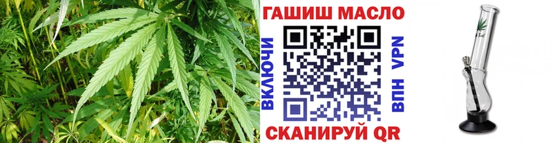 купить закладку  MEGA ТОР  ТГК жижа  Спасск-Дальний 