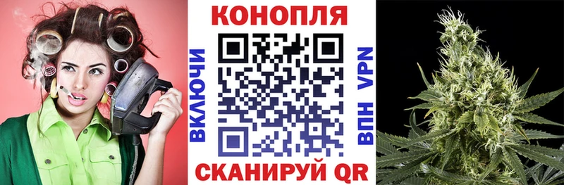 Бошки Шишки AK-47  как найти   Спасск-Дальний 